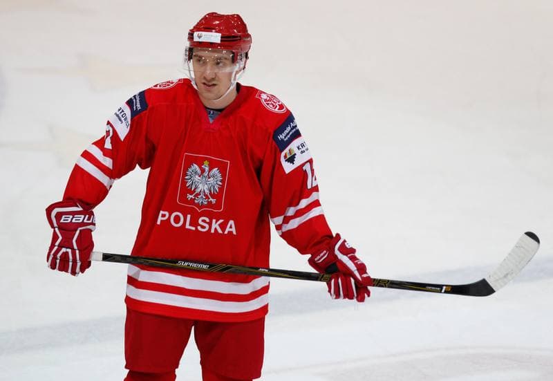Ice Hockey. International Friendly Match. Poland - Korea. 16.04.2016