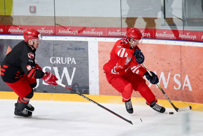 Ice Hockey. Poland national team. Training. 02.04.2024