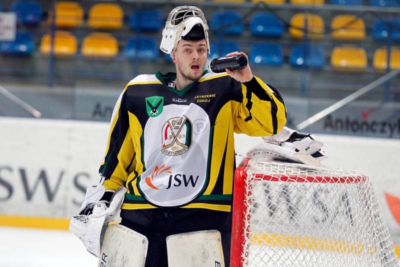 Ice Hockey. PHL. JKH GKS Jastrzebie - Tempish Polonia Bytom. 05.02.2017