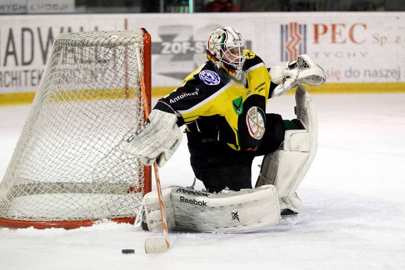 Ice Hockey. Polska Hokej Liga. GKS Tychy - JKH GKS Jastrzebie. 17.02.2017