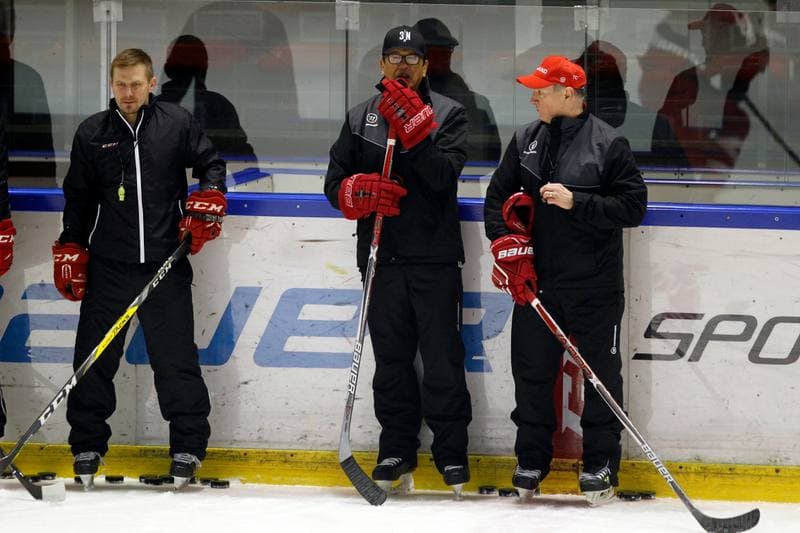 Ice Hockey. Poland national team. Training. 13.02.2018