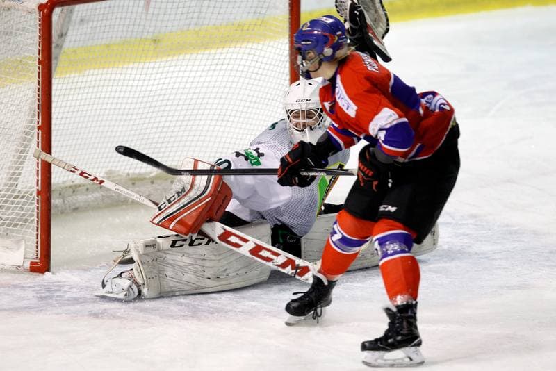 Ice Hockey. PLHK. Naprzod Janow - Polonia Bytom. 18.01.2018