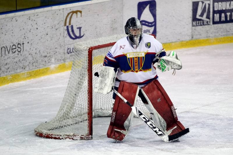 Ice Hockey. Polska Hokej Liga. Polonia Bytom - Automatyka Gdansk. 21.01.2018