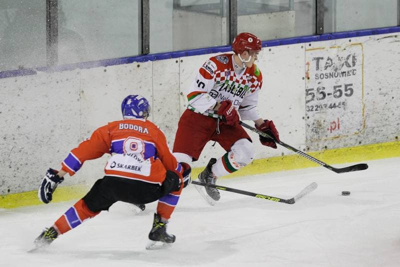 Ice Hockey. Polska Hokej Liga. Zaglebie Sosnowiec - Weglokoks Kraj Polonia Bytom. 13.01.2019