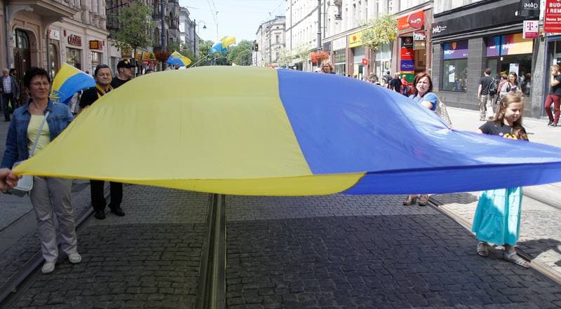 Slaskie. Marsz Ruchu Autonomii Slaska. Katowice. 11.07.2015