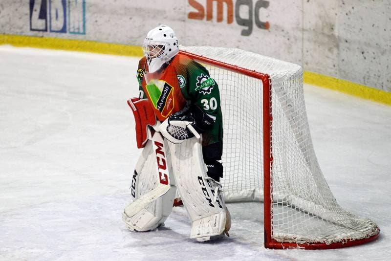 Ice Hockey. PLHK. Polonia Bytom - Naprzod Janow. 21.10.2017