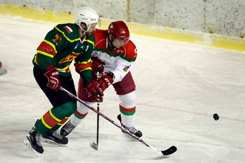Ice Hockey. I Liga. Zaglebie Sosnowiec - Academy 1928 KTH Krynica. 10.02.2018
