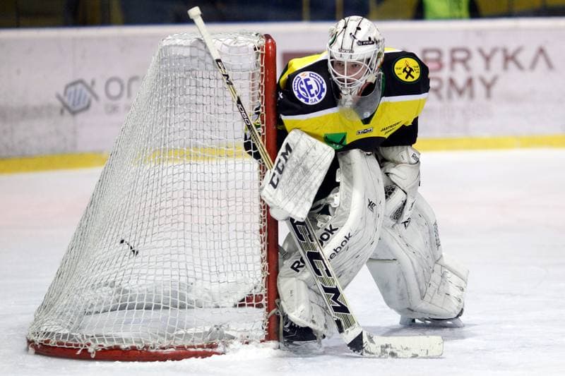 Ice Hockey. Polska Hokej Liga. Tempish Polonia Bytom - JKH GKS Jastrzebie. 20.01.2017