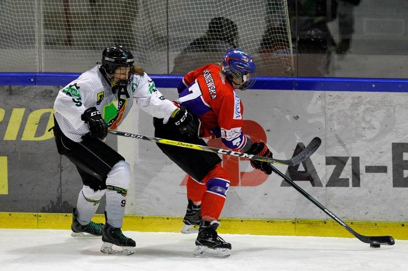 Ice Hockey. PLHK. Naprzod Janow - Polonia Bytom. 18.01.2018
