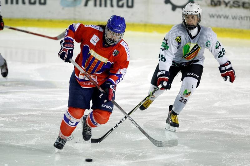 Ice Hockey. PLHK. Naprzod Janow - Polonia Bytom. 18.01.2018