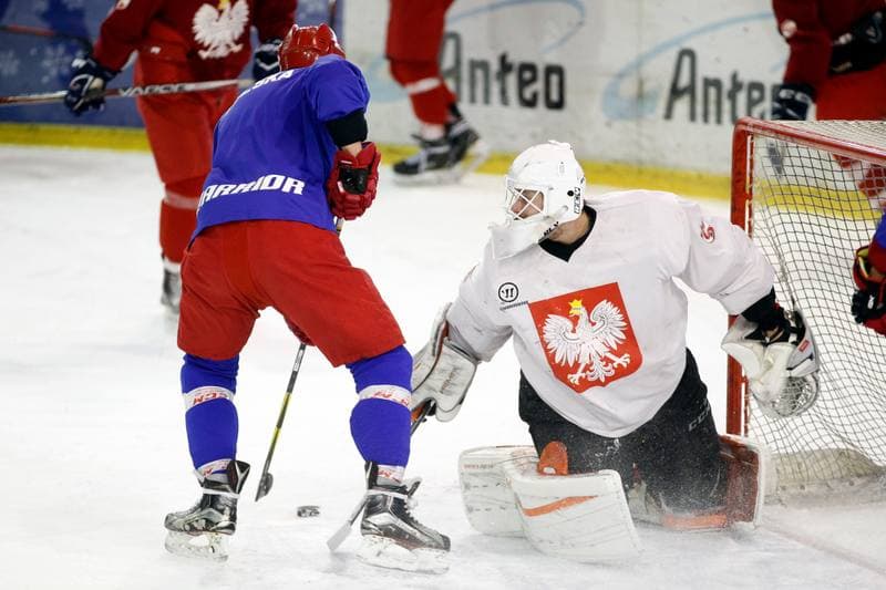 Ice Hockey. Poland national team. Training. 13.02.2018