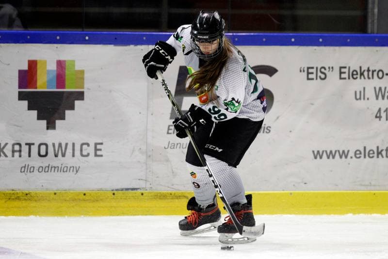 Ice Hockey. PLHK. Naprzod Janow - Polonia Bytom. 24.02.2018