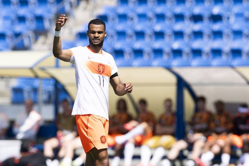Football. International Friendly. Netherlands - Uzbekistan. 08.06.2026