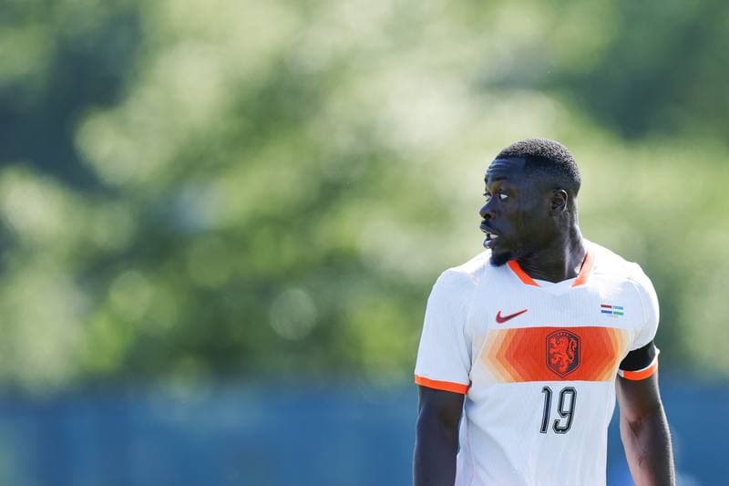 Football. International Friendly. Netherlands - Uzbekistan. 08.06.2026