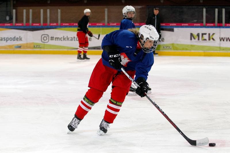 Ice Hockey. Poland national team. Training. 15.02.2018