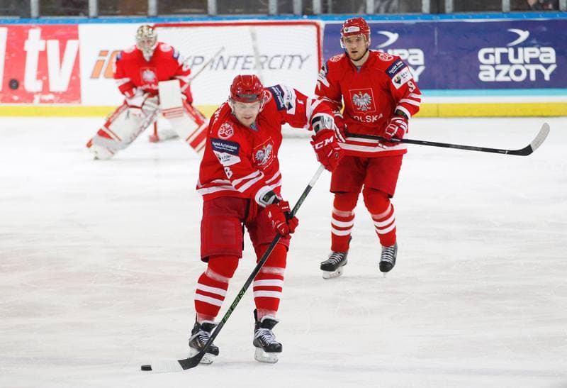Ice Hockey. International Friendly Match. Poland - Korea. 16.04.2016