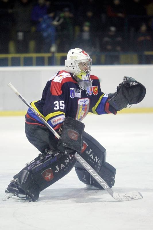 Ice Hockey. Polska Hokej Liga. Tempish Polonia Bytom - Podhale Nowy Targ. 20.12.2016