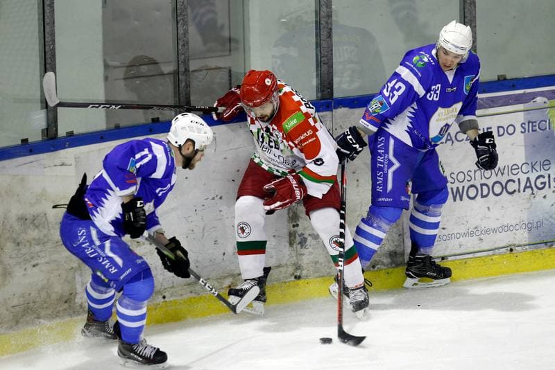 Ice Hockey. Polska Hokej Liga. Zaglebie Sosnowiec - Unia Oswiecim. 01.02.2019