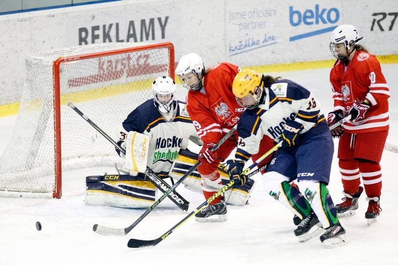 Ice Hockey. Women's Friendly Match. Poland - Ontario. 04.04.2017