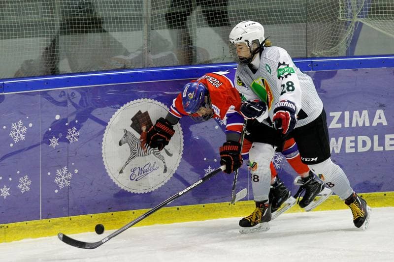 Ice Hockey. PLHK. Naprzod Janow - Polonia Bytom. 18.01.2018