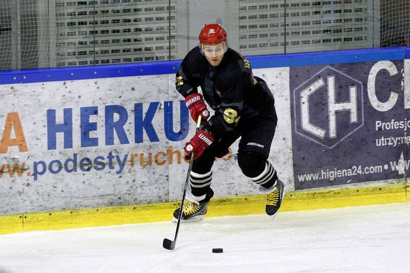 Ice Hockey. Tauron Hokej Liga. Anteo Naprzod Janow - Comarch Cracovia Krakow. 19.01.2018