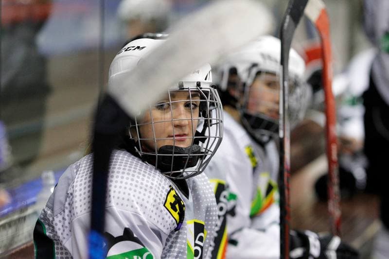 Ice Hockey. PLHK. Naprzod Janow - Polonia Bytom. 24.02.2018
