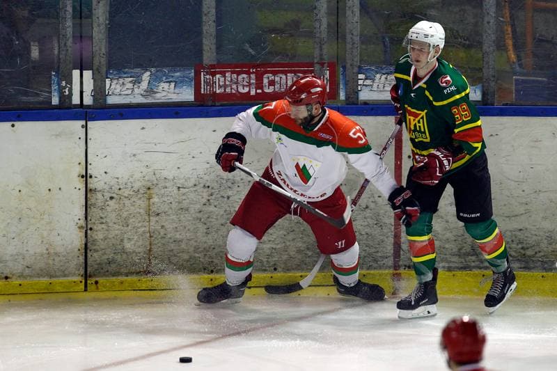 Ice Hockey. I Liga. Zaglebie Sosnowiec - Academy 1928 KTH Krynica. 10.02.2018