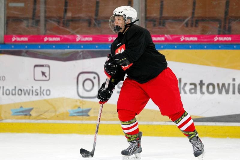 Ice Hockey. Poland national team. Training. 15.02.2018