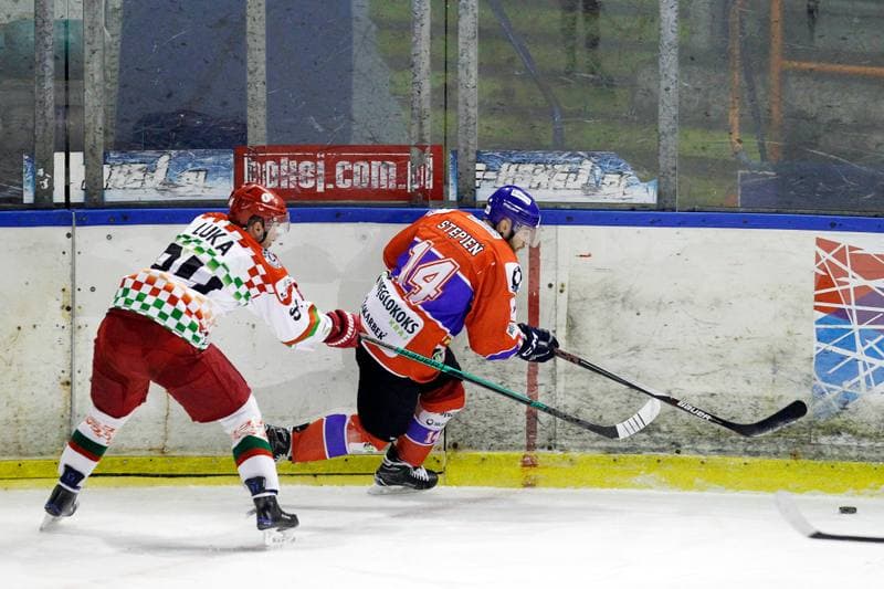 Ice Hockey. Polska Hokej Liga. Zaglebie Sosnowiec - Weglokoks Kraj Polonia Bytom. 13.01.2019