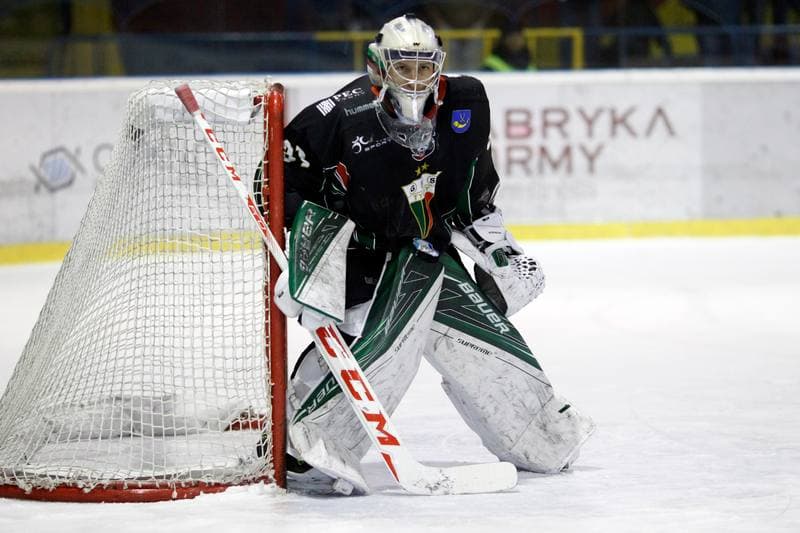 Ice Hockey. Polska Hokej Liga. Tempish Polonia Bytom - GKS Tychy. 06.01.2017