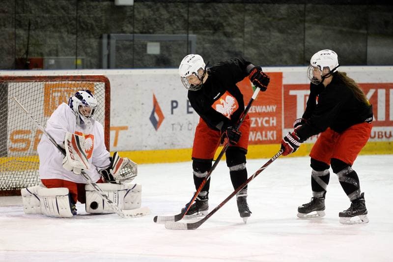 Ice Hockey. Poland national team. Training. 28.12.2018