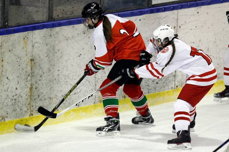 Ice Hockey. Women's U18 Championship. Poland - Hungary. 11.11.2018