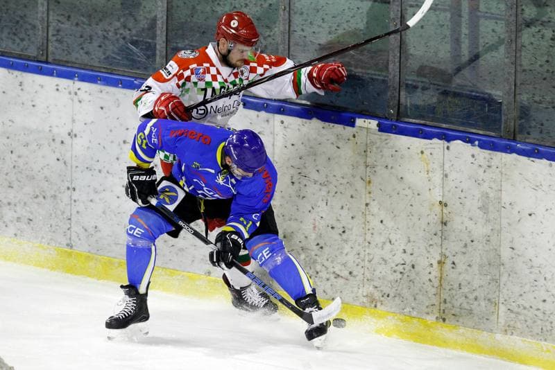Ice Hockey. Polska Hokej Liga. Zaglebie Sosnowiec - Orlik Opole. 17.02.2019
