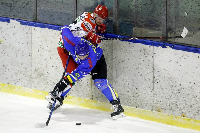 Ice Hockey. Polska Hokej Liga. Zaglebie Sosnowiec - Orlik Opole. 17.02.2019