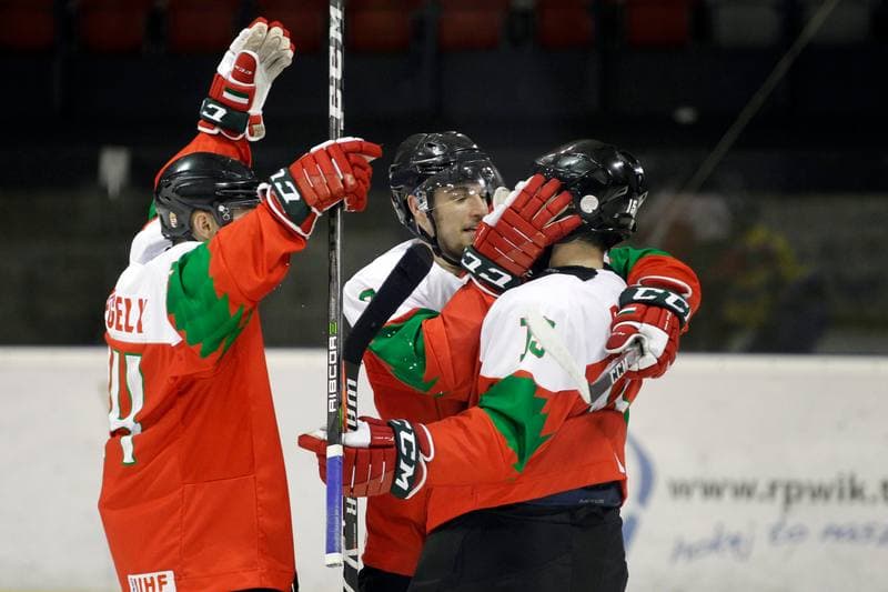 Ice Hockey. U20 World Championship Division I. Hungary - Ukraine. 09.12.2018