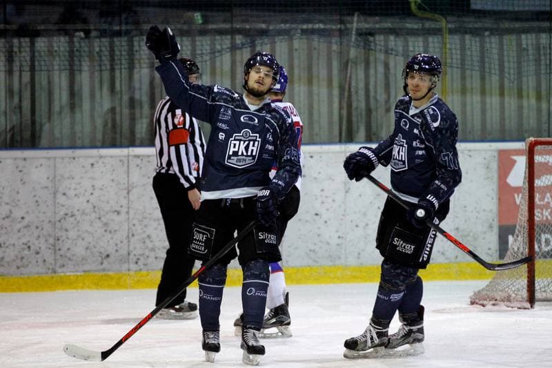 Ice Hockey. Tauron Hokej Liga. Polonia Bytom - MH Automatyka Gdansk. 20.02.2018