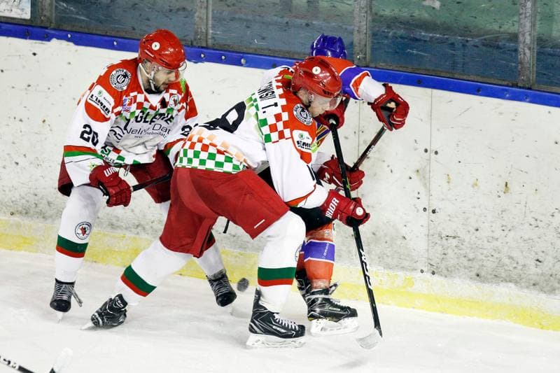 Ice Hockey. Polska Hokej Liga. Zaglebie Sosnowiec - Weglokoks Kraj Polonia Bytom. 13.01.2019