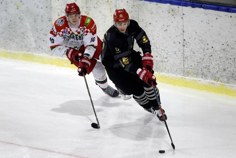 Ice Hockey. Polska Hokej Liga. Zaglebie Sosnowiec - Comarch Cracovia. 22.01.2019