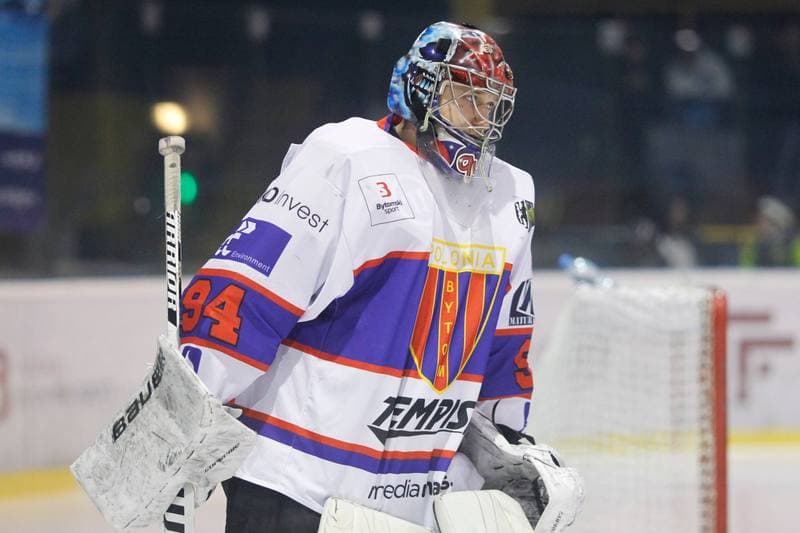 Ice Hockey. Polska Hokej Liga. Tempish Polonia Bytom - JKH GKS Jastrzebie. 20.01.2017