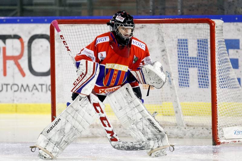 Ice Hockey. PLHK. Naprzod Janow - Polonia Bytom. 24.02.2018