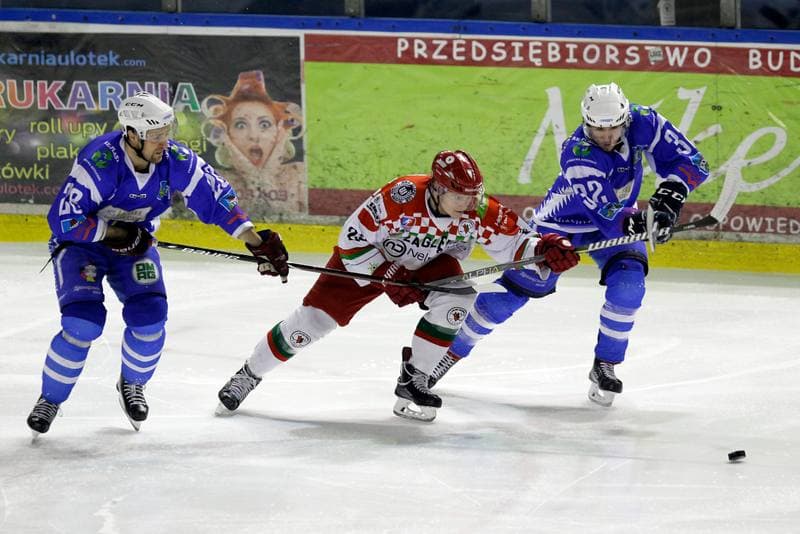 Ice Hockey. Polska Hokej Liga. Zaglebie Sosnowiec - Unia Oswiecim. 01.02.2019