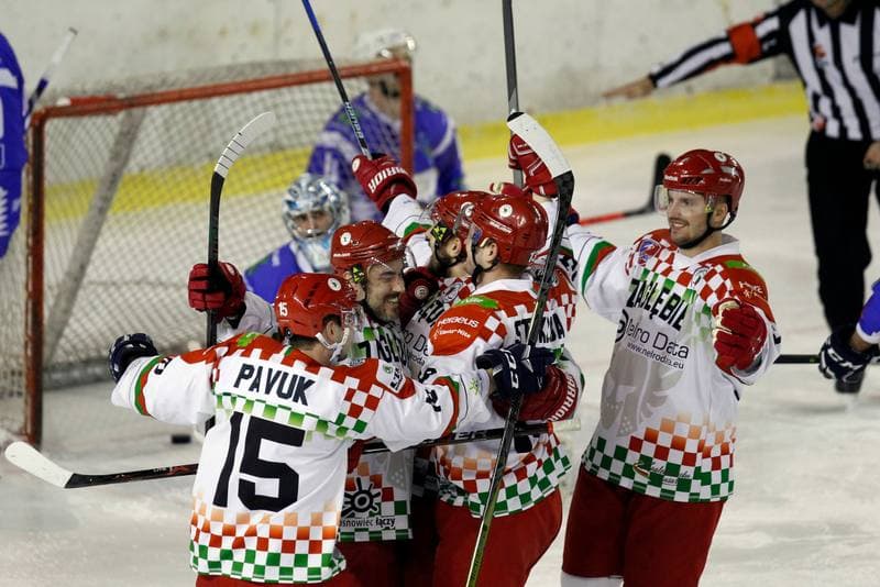 Ice Hockey. Polska Hokej Liga. Zaglebie Sosnowiec - Unia Oswiecim. 01.02.2019