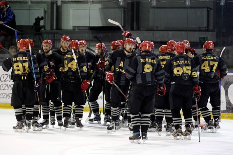 Ice Hockey. Polska Hokej Liga. GKS Tychy - Comarch Cracovia. 29.03.2017