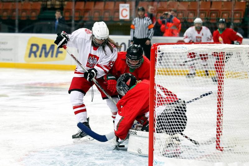 Ice Hockey. Women's Friendly Match. Poland - Hungary. 05.02.2016