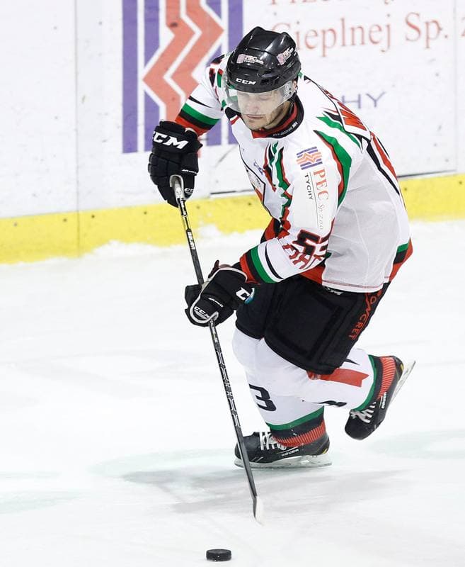 Ice Hockey. Polska Hokej Liga. GKS Tychy - Comarch Cracovia Krakow. 19.01.2014