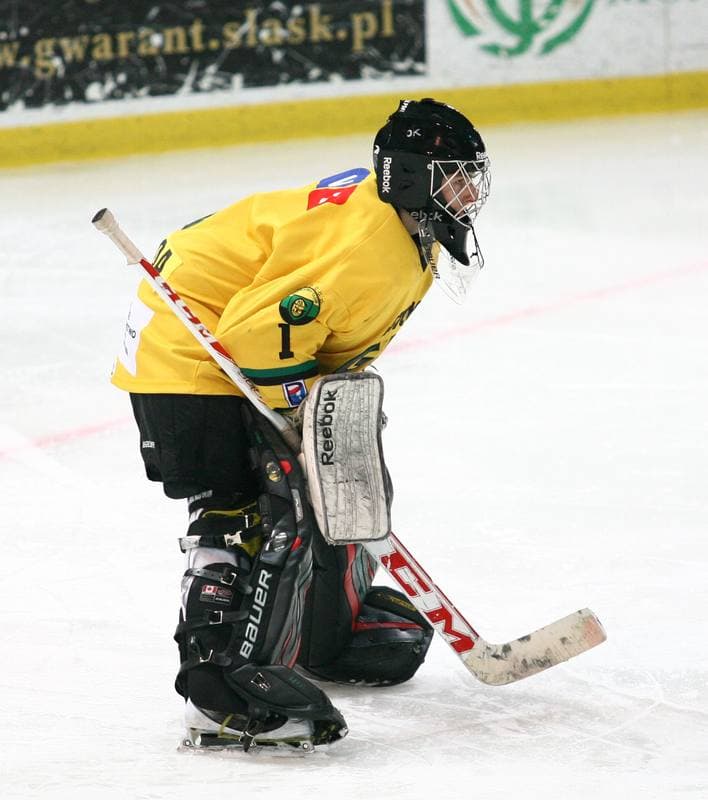 Ice Hockey. Tauron Hokej Liga. HC GKS Katowice - Polonia Bytom. 02.01.2015