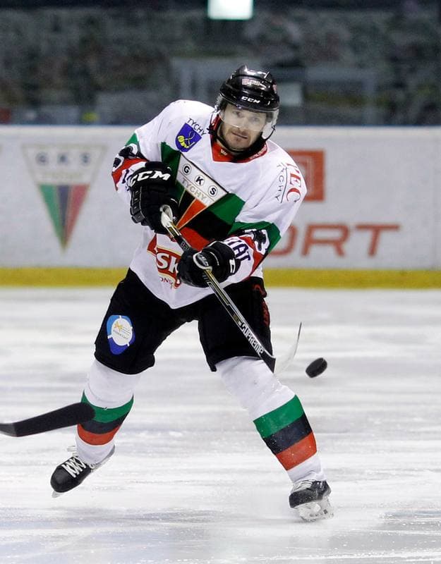 Ice Hockey. Polska Hokej Liga. GKS Tychy - Ciarko KH Sanok. 23.01.2015