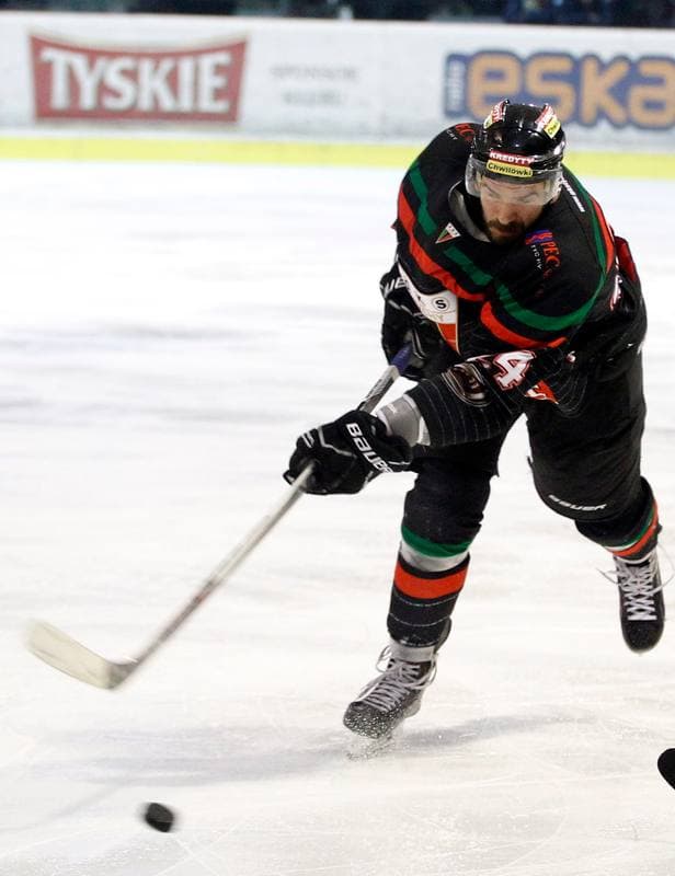 Ice Hockey. Polish Hockey League. Comarch Cracovia - GKS Tychy. 22.03.2016