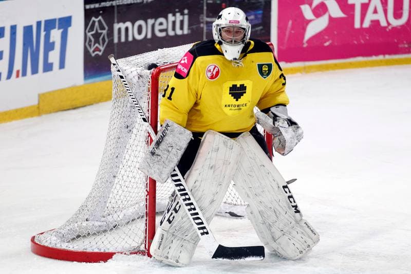 Ice Hockey. Tauron Hokej Liga. Tauron KH GKS Katowice - MH Automatyka Gdansk. 10.01.2017