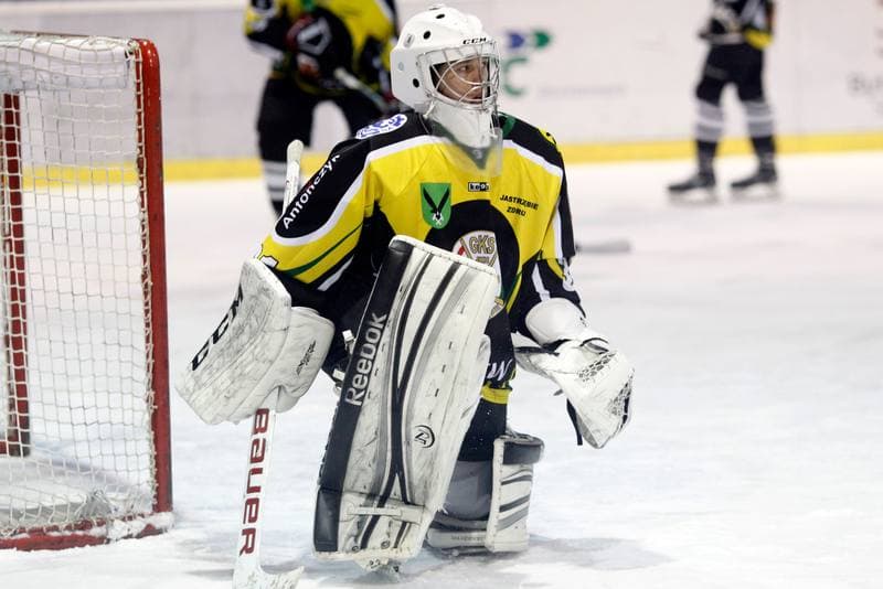Ice Hockey. Polska Hokej Liga. Tempish Polonia Bytom - JKH GKS Jastrzebie. 20.01.2017